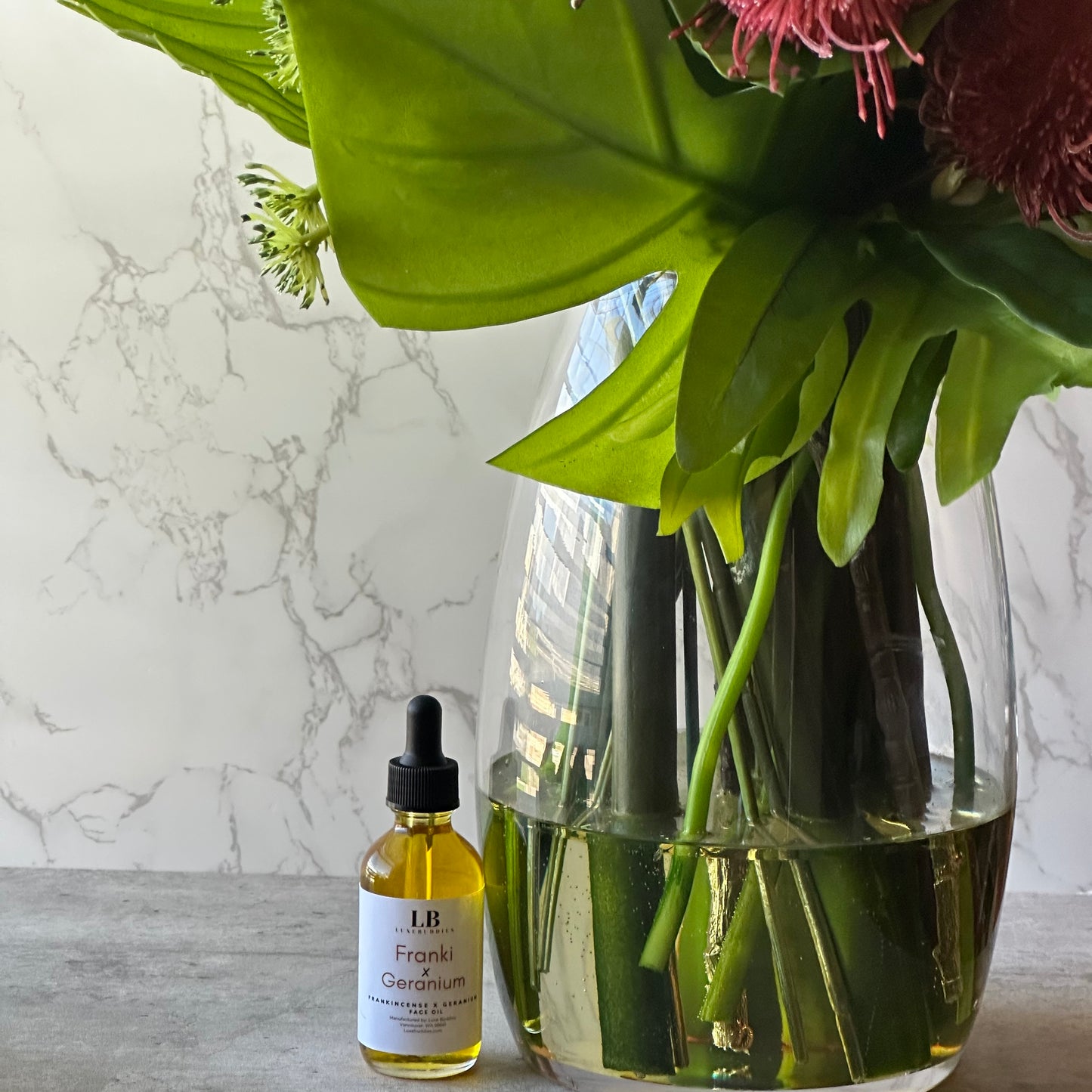 Franki x Geranium